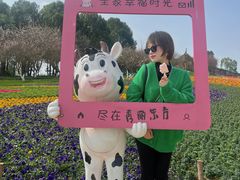 -秀丽东方