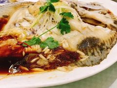 清蒸多宝鱼-新洪记·丽久饭店(铁西店)