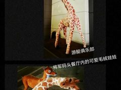 -平湖九龙山旅游度假区