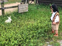 -田园东方蜜桃村的田野营地
