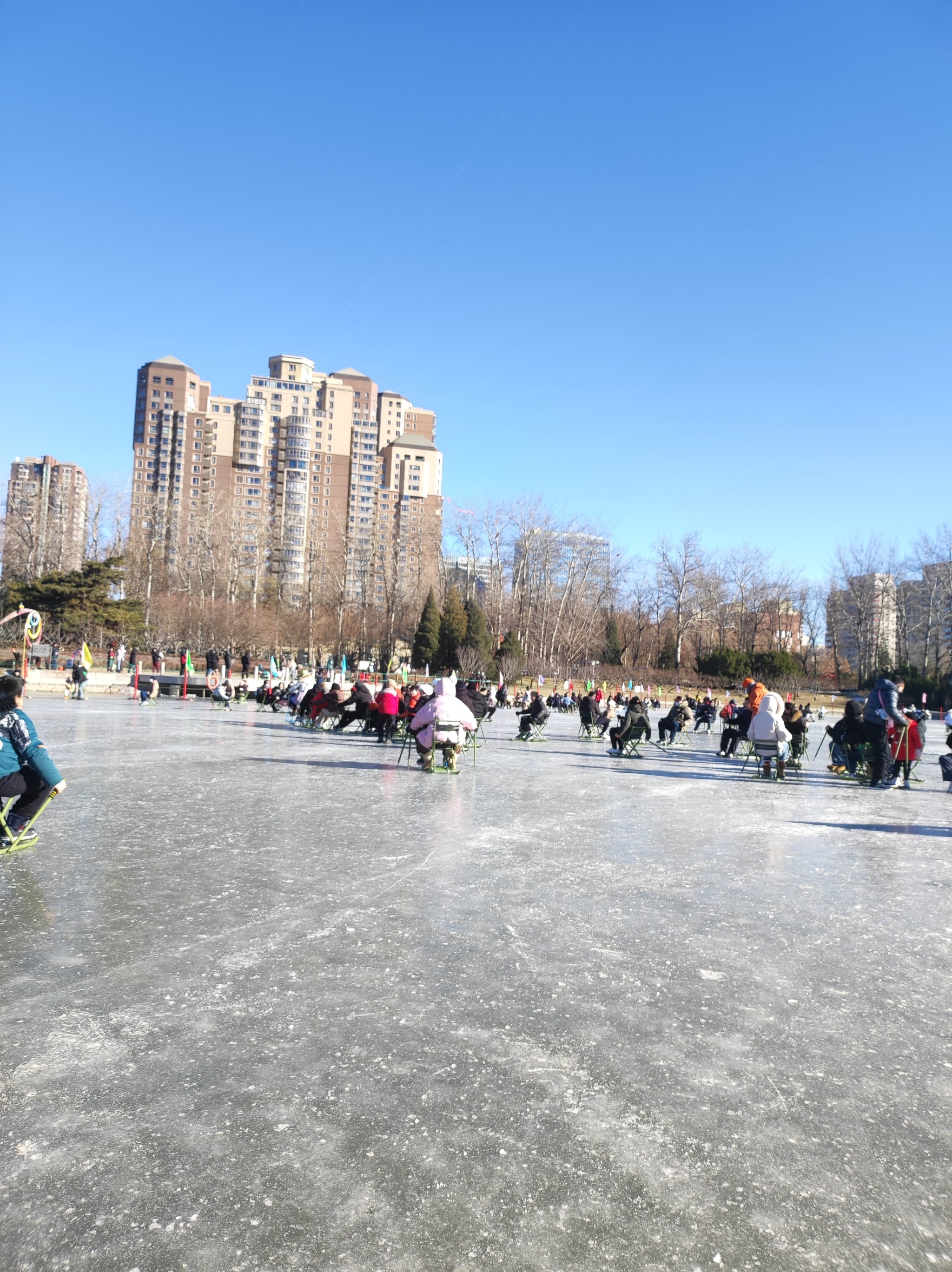 乌鲁木齐西公园滑冰场图片