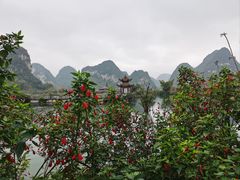 -靖西鹅泉风景区