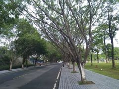 -东莞植物园