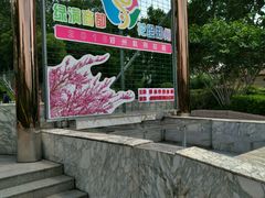 -紫荆山公园