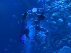 -南昌融创海世界