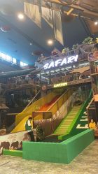 -卡通尼·Safari非洲探索乐园·生日会(金桥国际商业广场店)