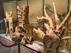 -香市公园-中国沉香文化博物馆