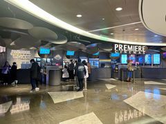 -百美汇影城(LUXE嘉里中心店)