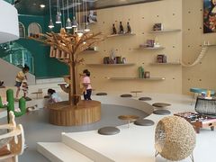 -飞行喵MR PILOT|猫舍·猫咖(静安大融城店)