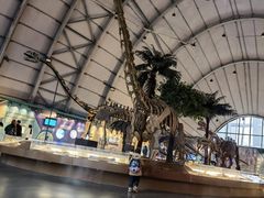 -辽宁古生物博物馆