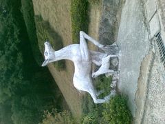 -金鸡山公园