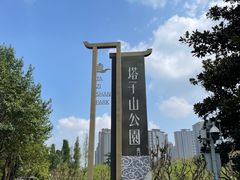 -塔子山公园