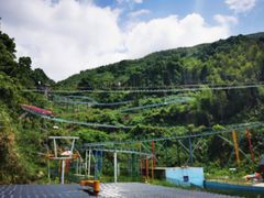 -长沙黑麋峰国家森林公园