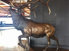 -纽瓦克自由国际机场