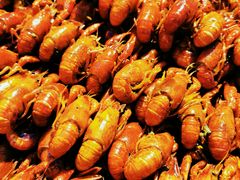 -市府路小吃城(民俗文化广场锦苑店)