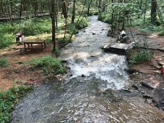 -五营红松林海景区