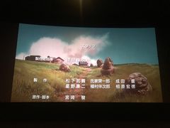 -万达影城(汉街万达广场IMAX店)