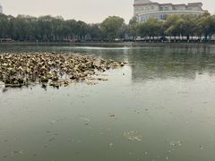 -哈尔滨师范大学(松北校区)