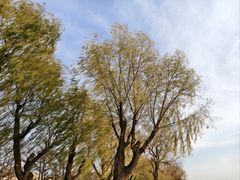 -长春市南湖公园