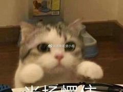 -瑞幸咖啡(济南绿城玉兰广场店)