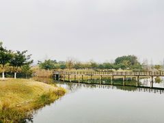 -眉山湿地公园(东坡区)