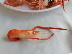 -八仔大富楼·河鲜(西江店)
