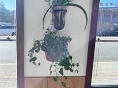 -天天向上素食餐厅(五台山店)