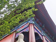 -天津市峰山药王古寺