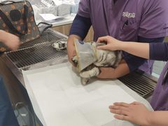 -萌兽医馆·犬猫专科·眼科中心·宠物医院(朝阳门分院)