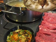 -宴全牛粤来越牛潮汕鲜牛肉火锅(海州万达广场店)