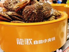-龍歌自助小火锅(芝罘万达店)