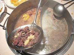 -潮泰牛肉火锅 · 创于1992年(车公庙店)