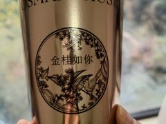 -树夏(鹭洲里店)