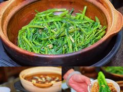 -熠盛粤味·顺德桑拿鸡(永康路店)