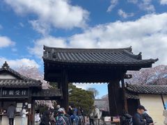-醍醐寺