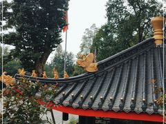 -峨眉山报国寺