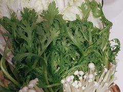 -蝎王府羊蝎子(虎坊桥总店)