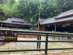 -野象谷景区
