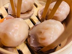 -金鼎轩(亚运村店)