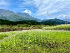 -瓦屋山景区