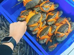 -杨记海鲜楼(三门黑金冠店)