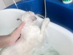 -心仪动物医院·牙专科·肿瘤·心脏科(西客站院)