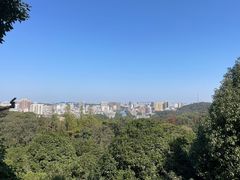 -潜山国家森林公园