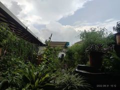-山壹竹庭院餐厅