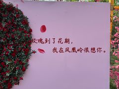 -北京凤凰岭
