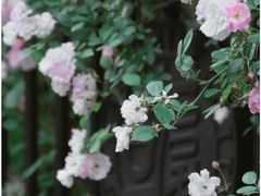 -复旦大学光华楼