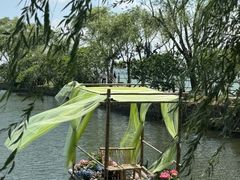 -无锡蠡湖国家湿地公园-蠡园