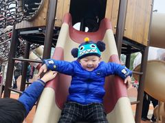 -枫香湖儿童公园