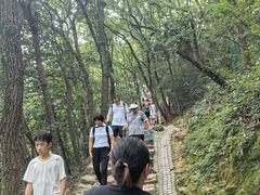 -灵顺寺