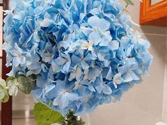 -桂林市花鸟市场